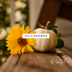 Read more about the article Hello November: A Month of Gratitude and Reflection